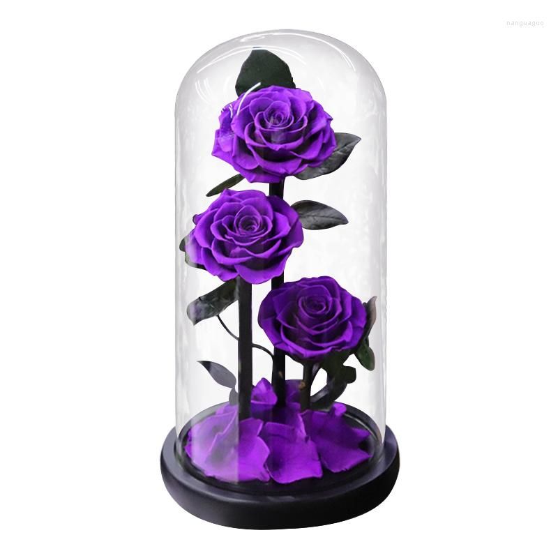 3 głowy Purple Rose