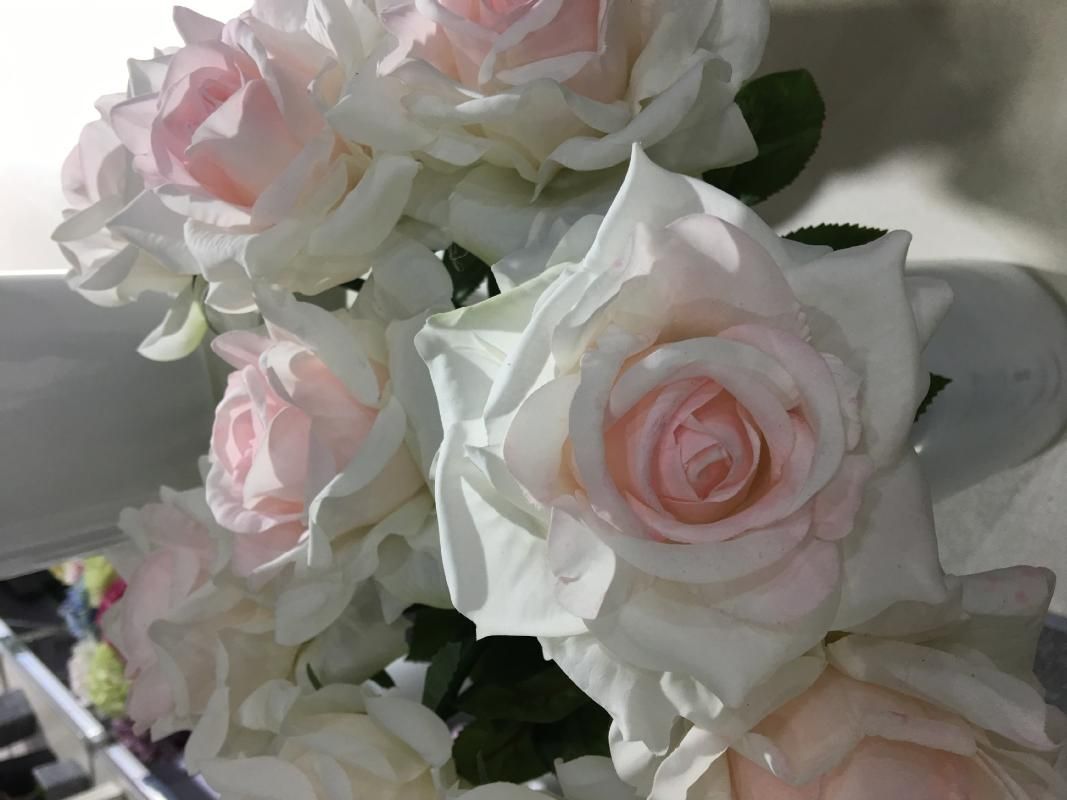 Roses roses blanches