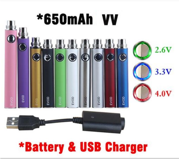 650mah VV & USB Charger
