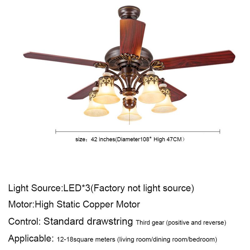 Cordelette 75W 110V