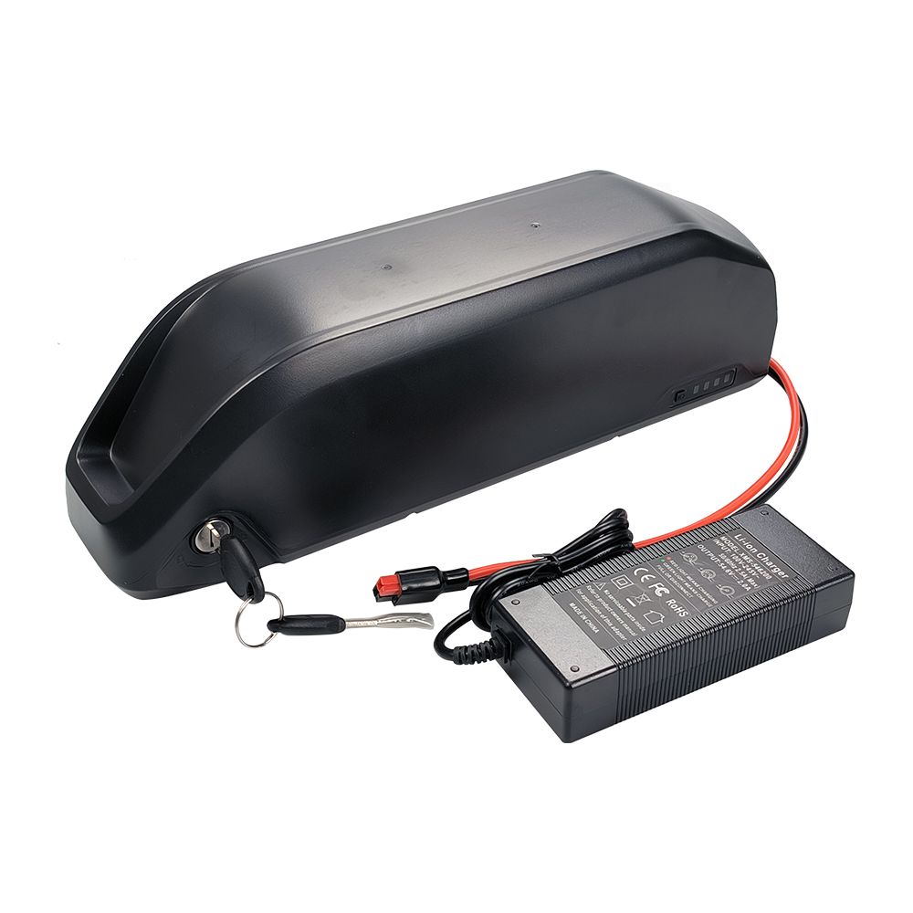 48V Mini Shark Ebike Battery (2900 18650 Cells), 56 OFF