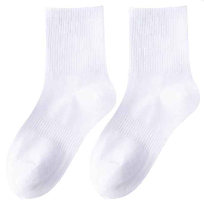 Short socks(max color)