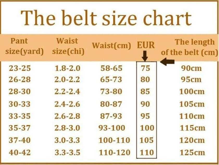 Euro belt 2025 size to us