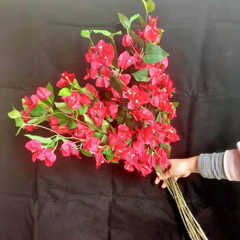 80cm Red