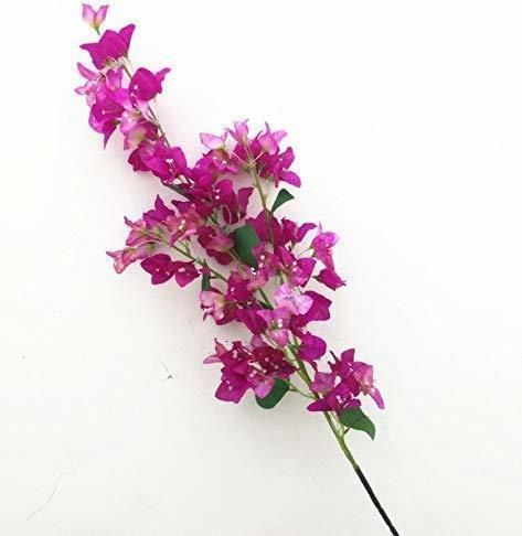 120cm fuchsia