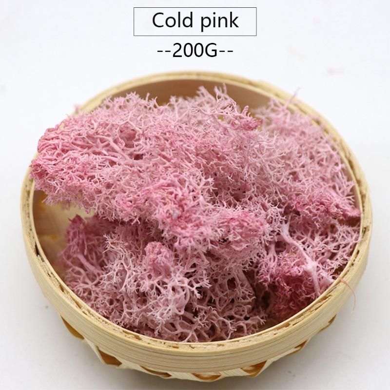 Холодный розовый