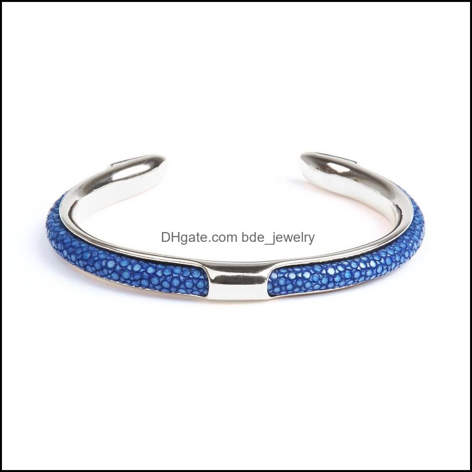 blauw zilver