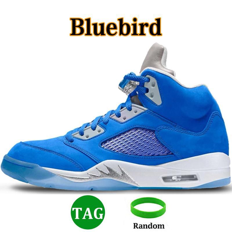 5s bluebird