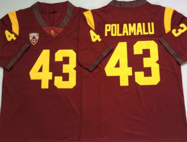 43 Troy Polamalu/ with name