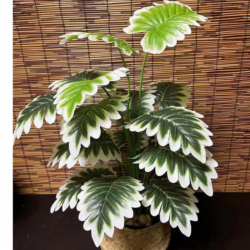 70cm White Green