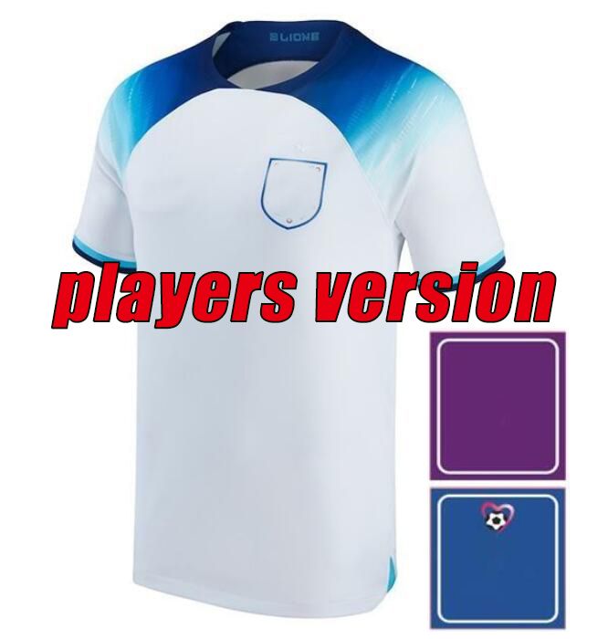 2022 Spieler Version Home Patch Patch