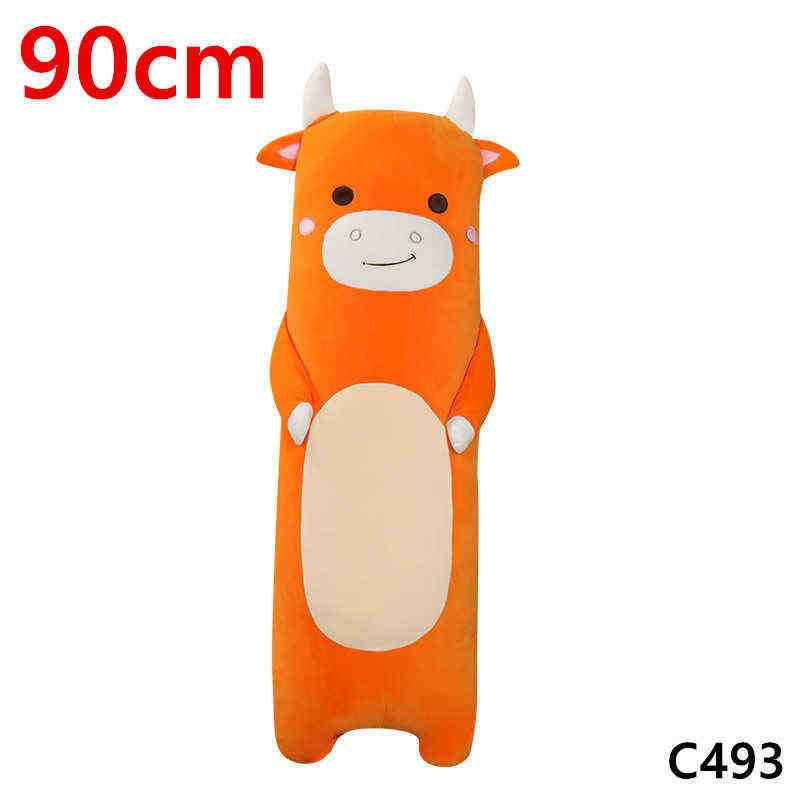 90cm cattle