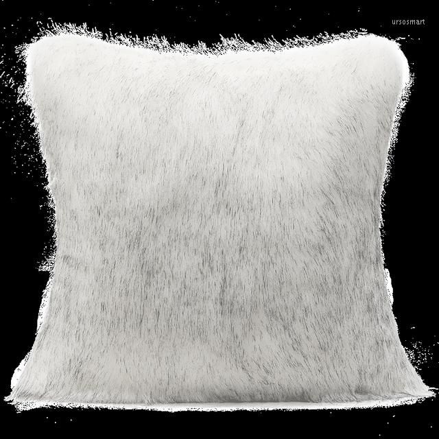 1 couvercle de coussin PC