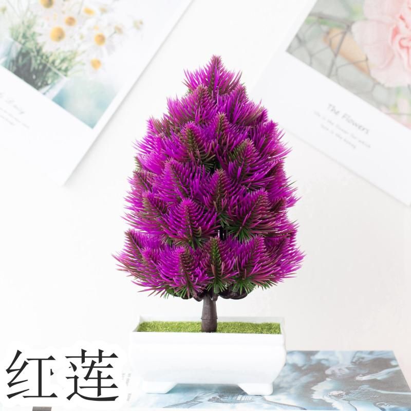 Shengdanshu Purple r