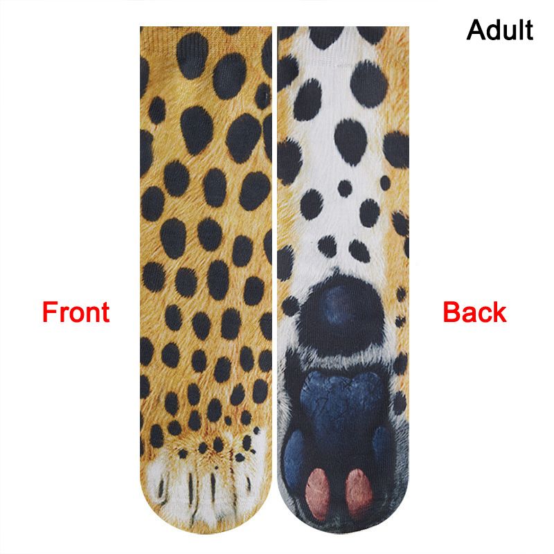 Cheetah adulte