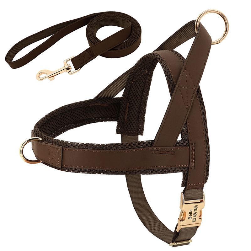 Brown Harness Leash