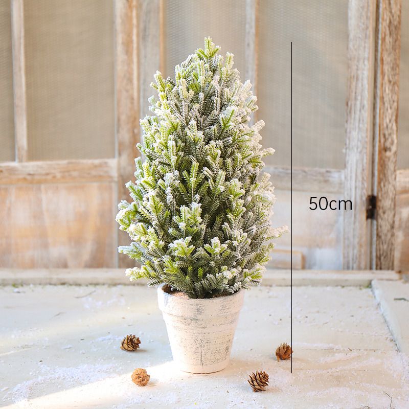 鉢植えの木50cm