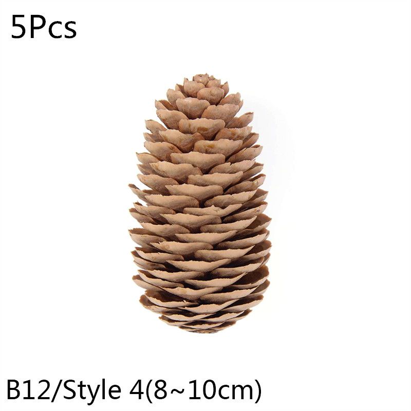 B12-5pcs