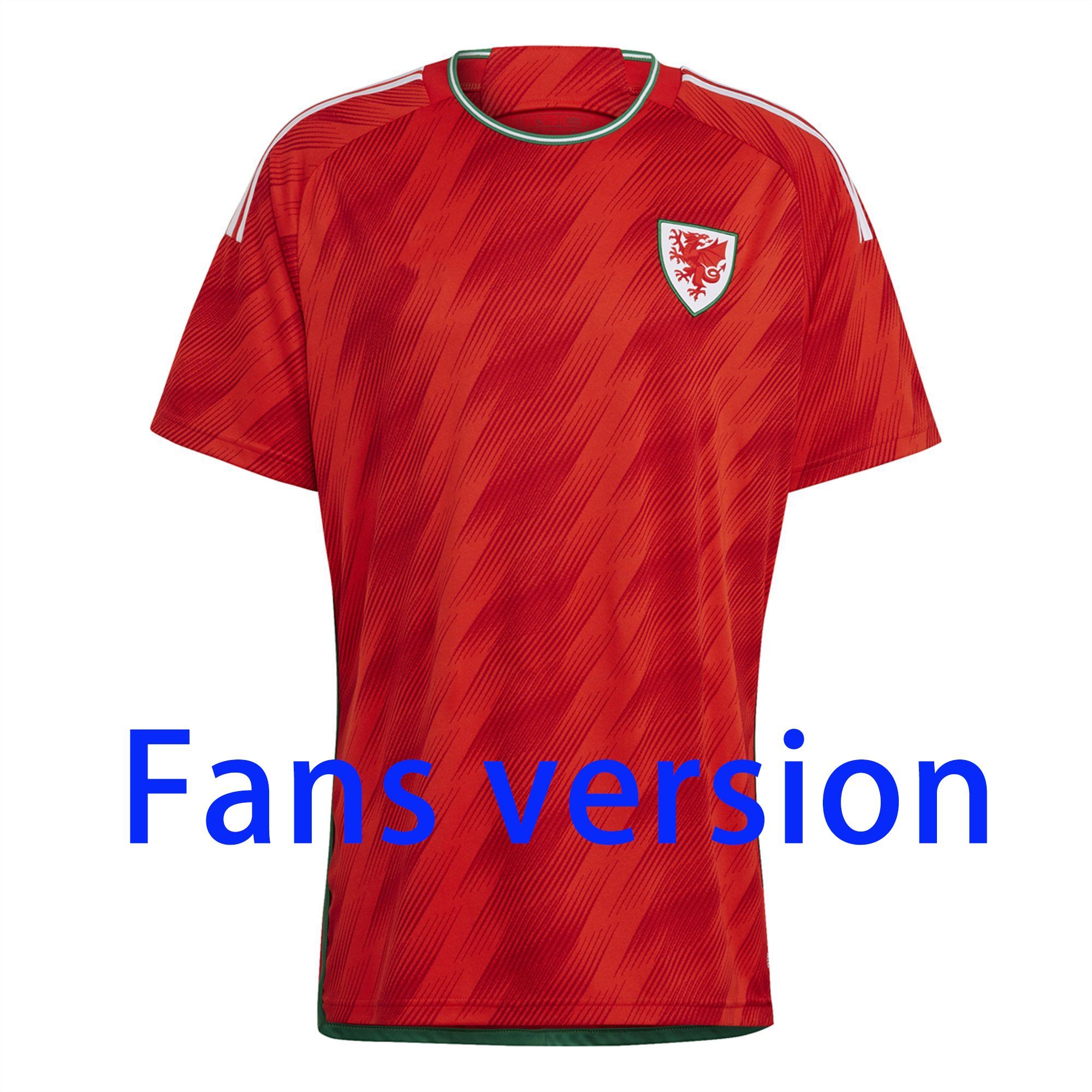 2022 fansversion