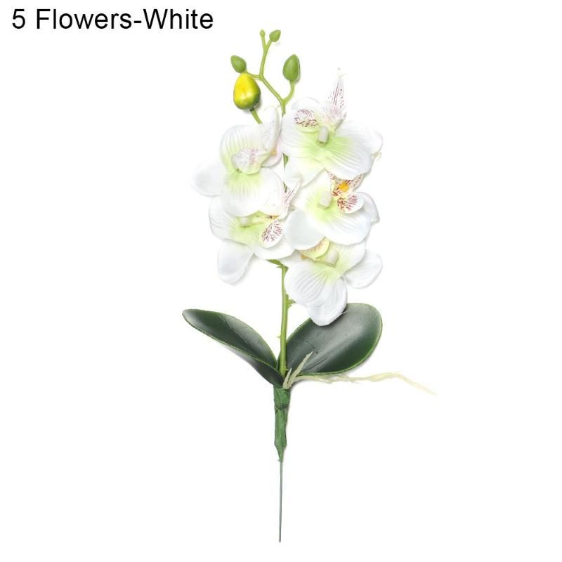 5 kwiatów-białych