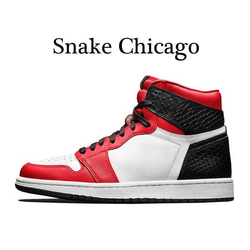 1S змея Чикаго