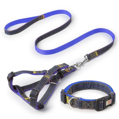 Blue Harness Leash Collar