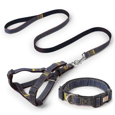 Black Harness Leash Collar