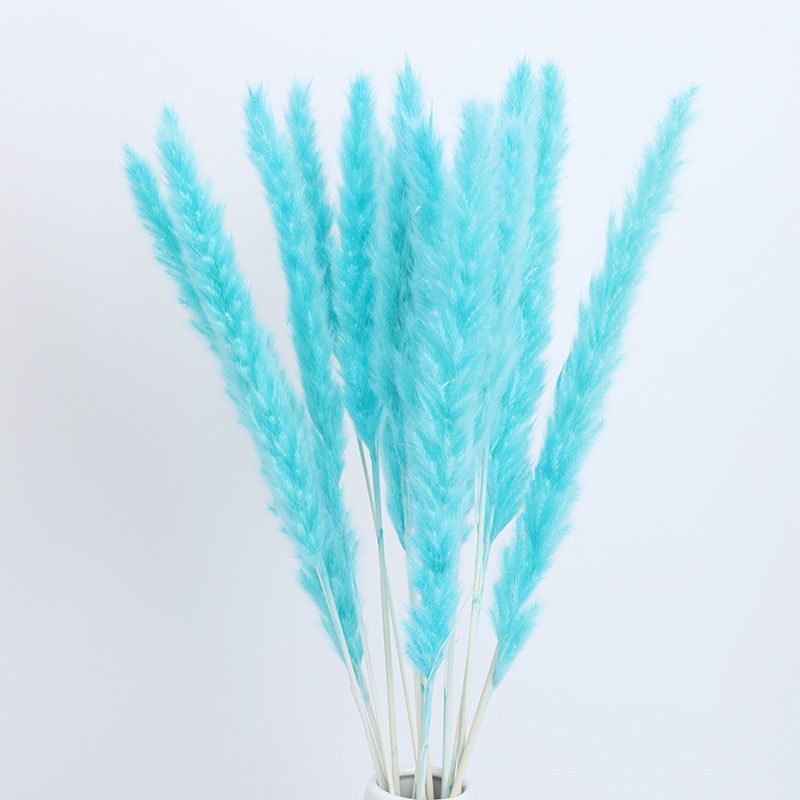 Blue-30pcs