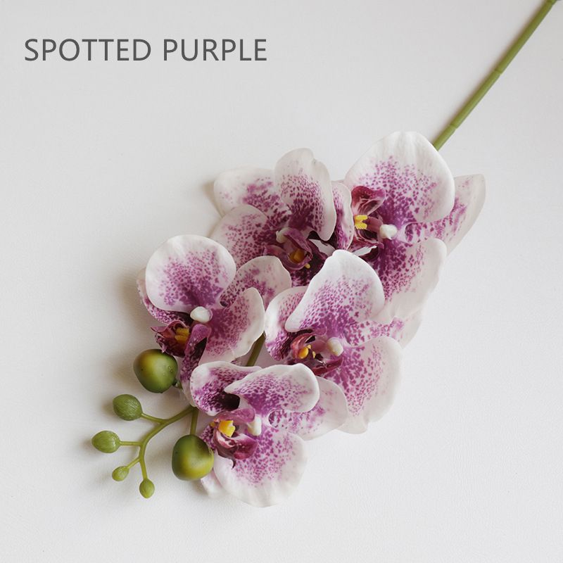 Spot Purple 2st
