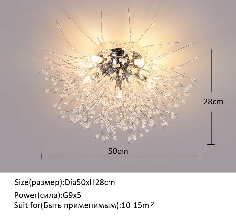 5頭の50cmの銀の体暖かい白