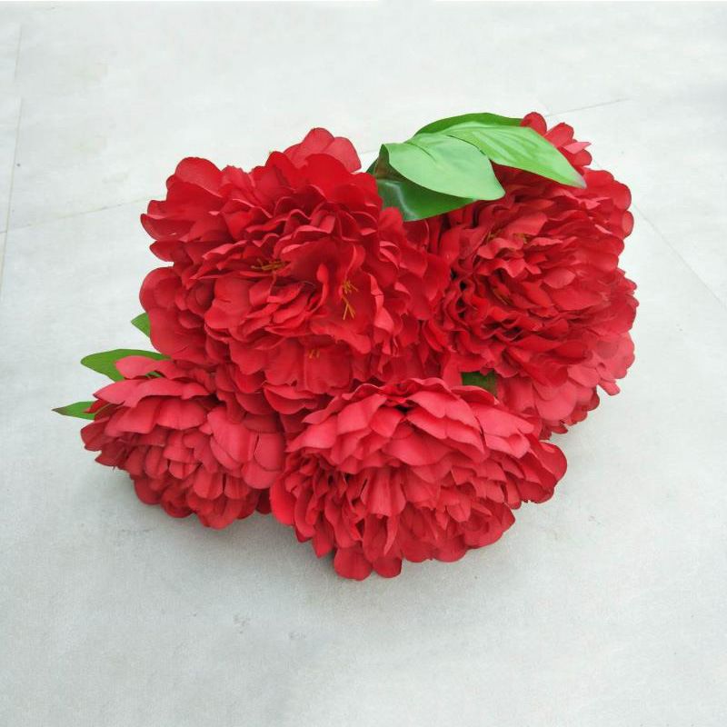 Pivoine rouge