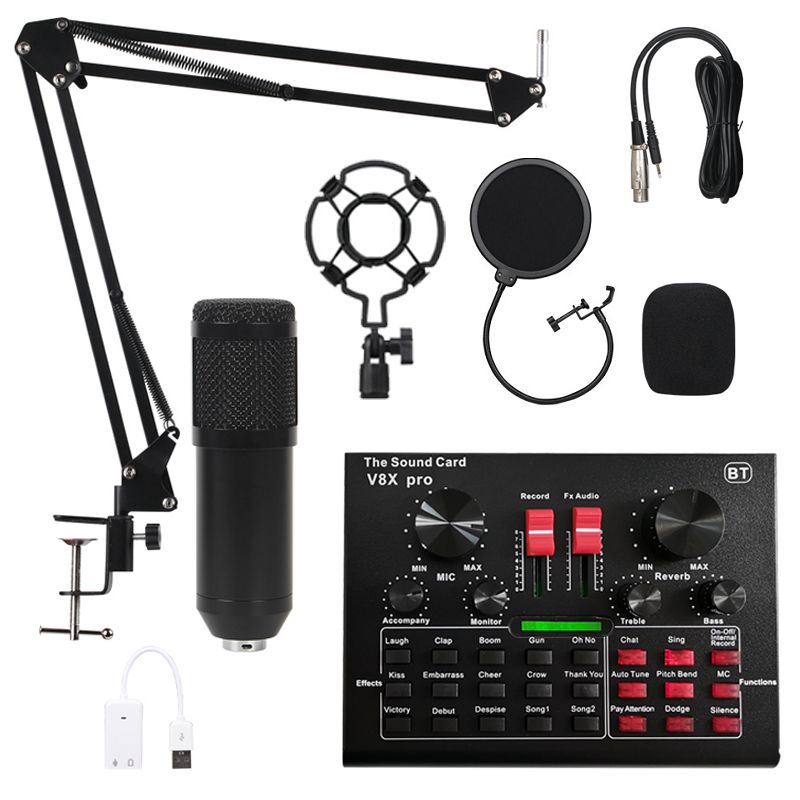 V8X und BM800 Mikrofon