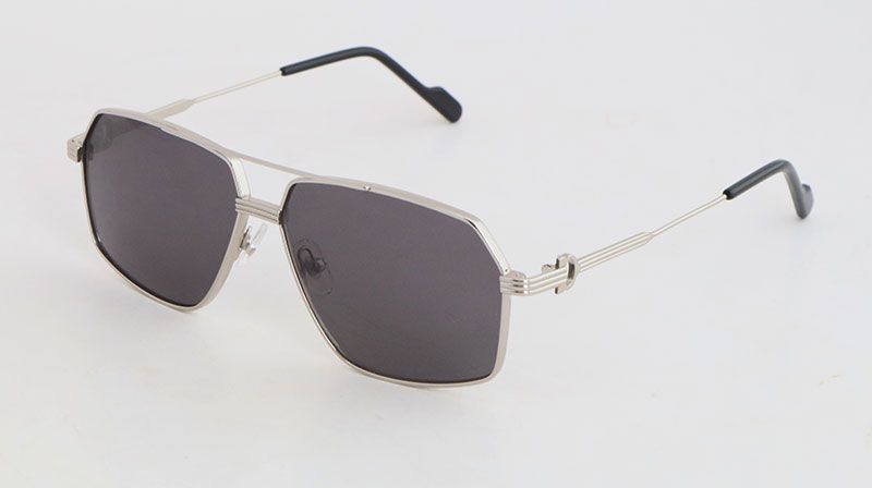 0270/Silver Gray Lens