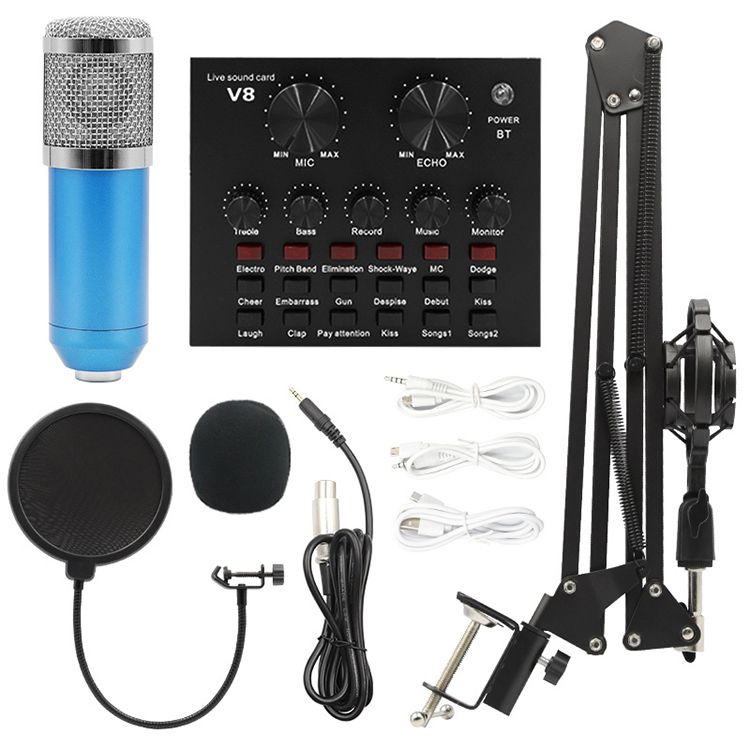 V8 및 BM800 MIC10