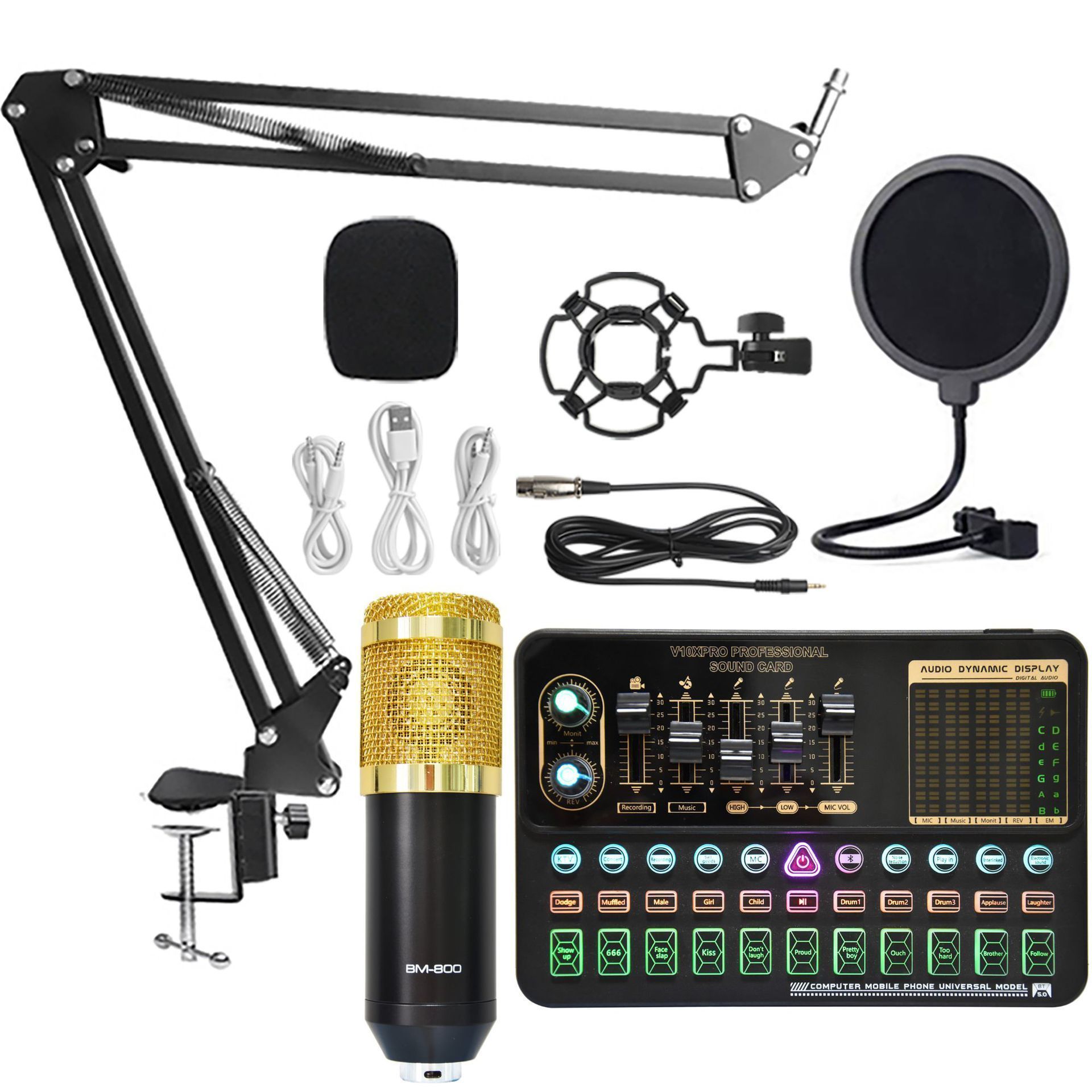 V10 en BM800 microfoon
