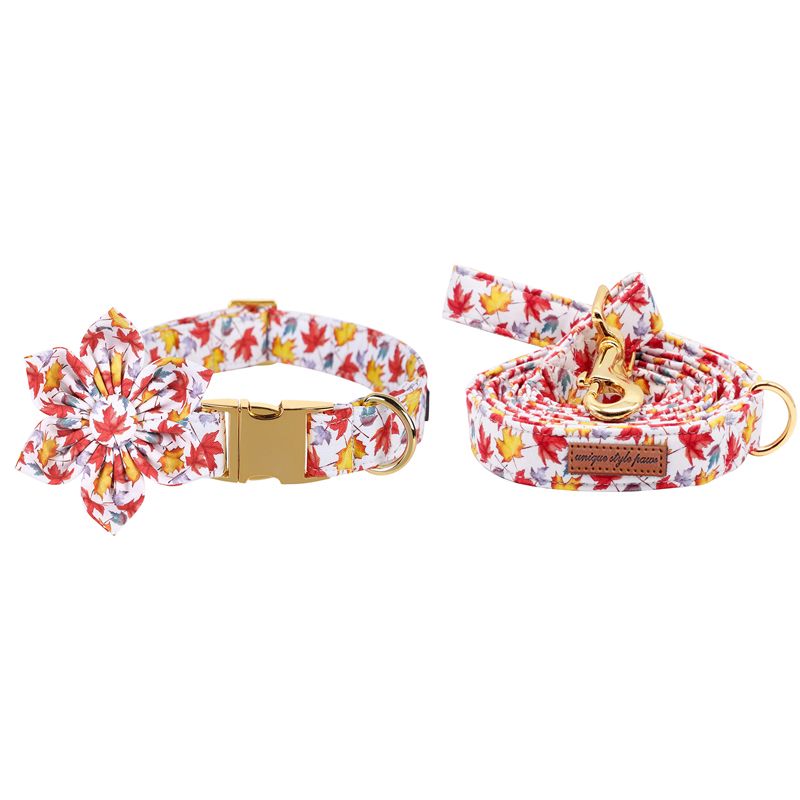 collar leash flower