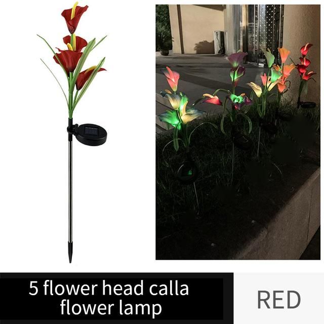 calla red