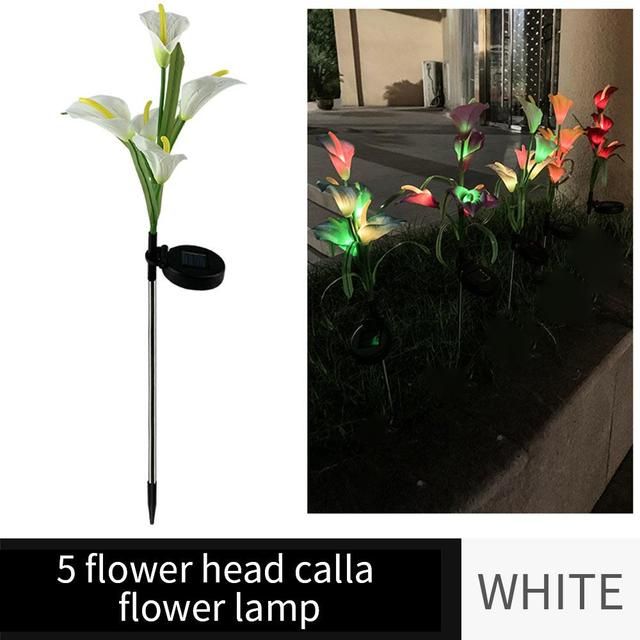 calla white