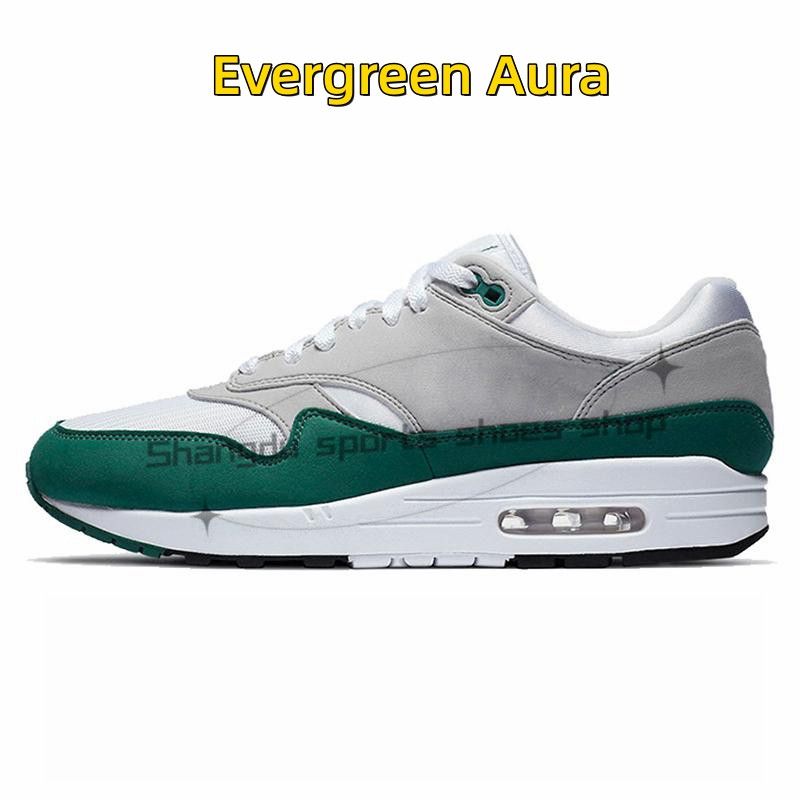 D34 Evergreen Aura 36-45