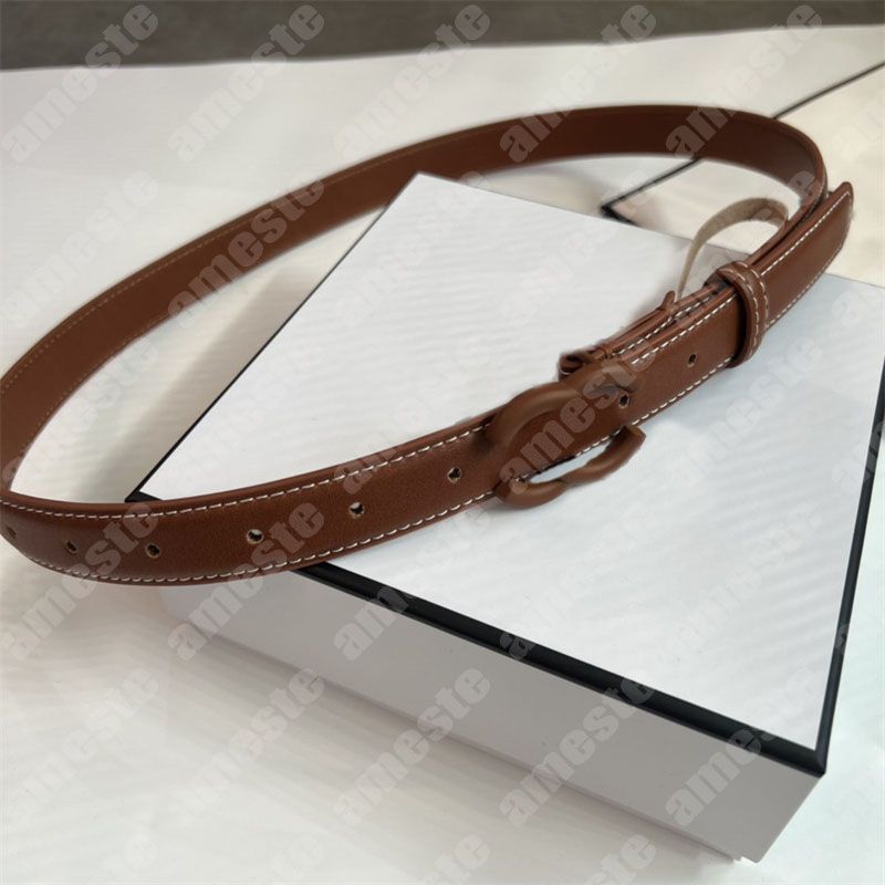 Brown Buckle