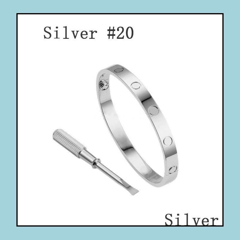 Zilver # 20
