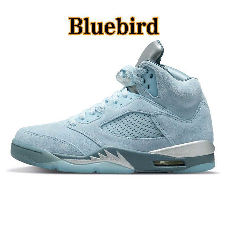 5S Bluebird_1