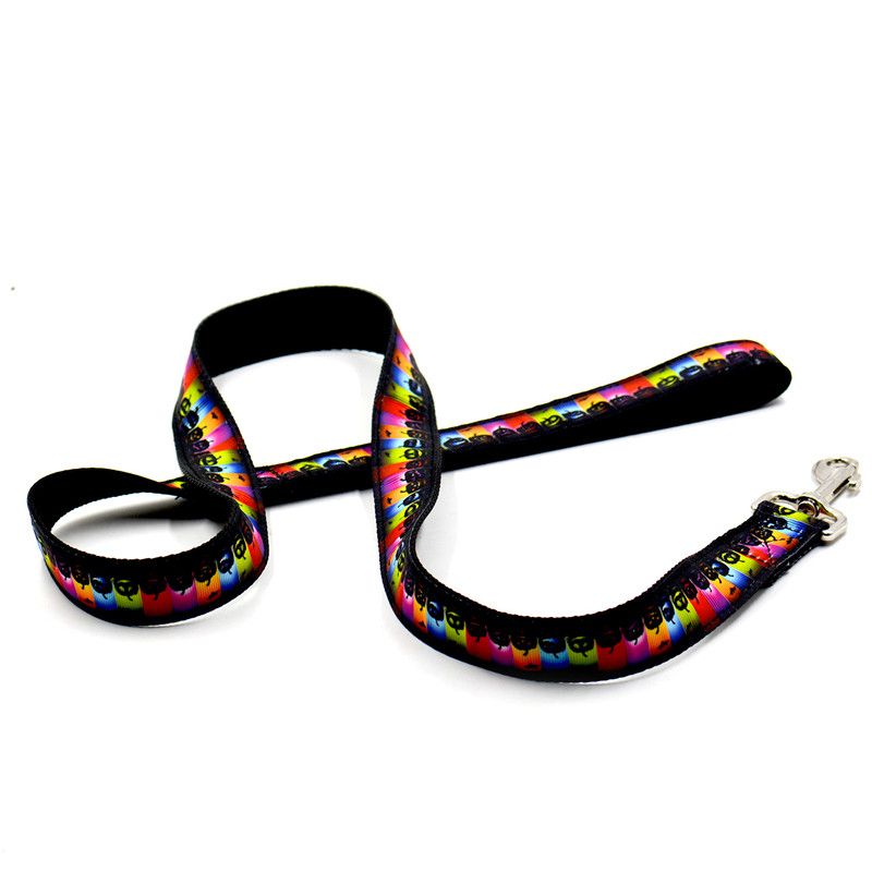 Multicolor Leash.