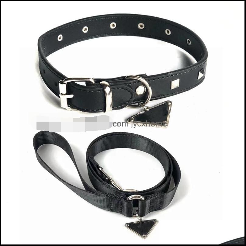 Collar+Leash