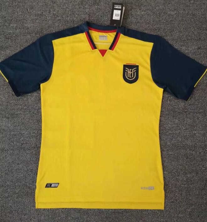 Ecuador 2022 World Cup Soccer Jersey Home Yellow Away Biue Pervis ...