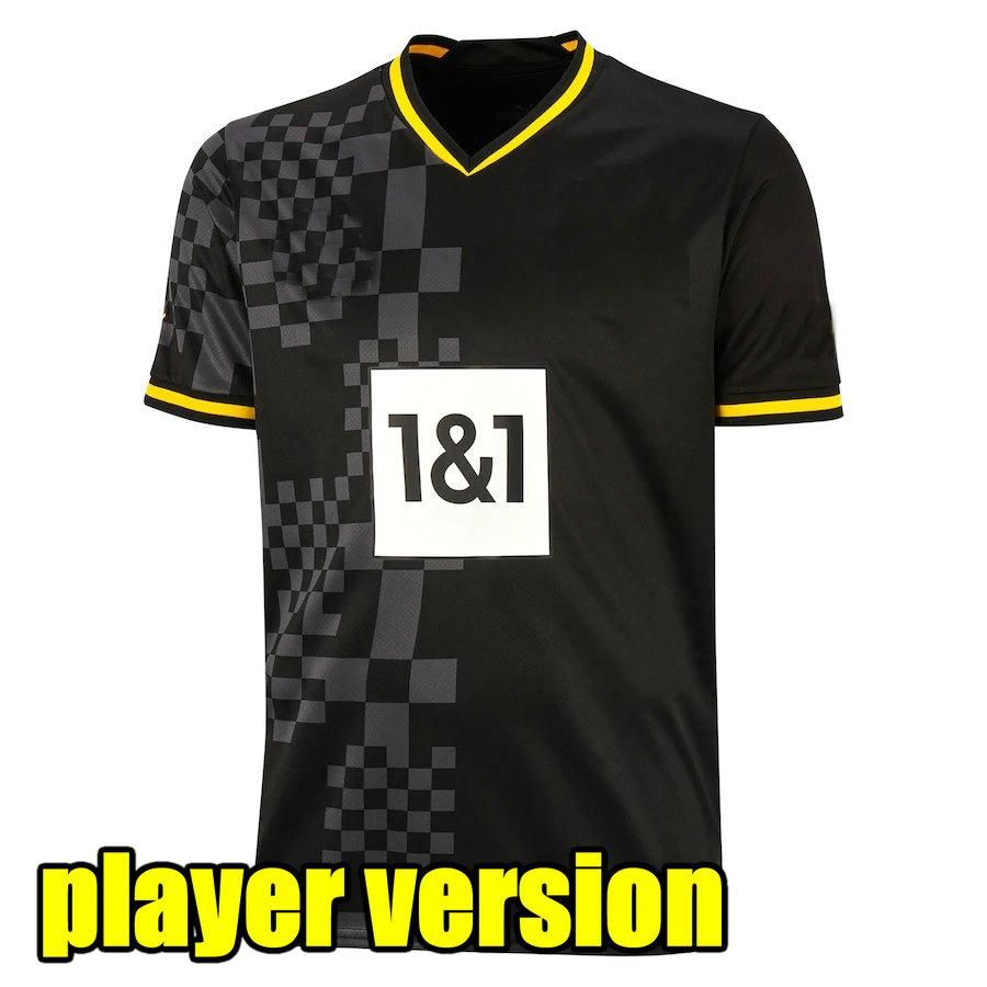 player version aldult1