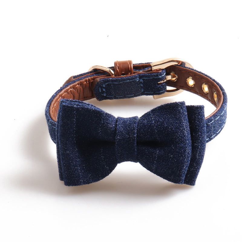 Bowknot Collar Blue