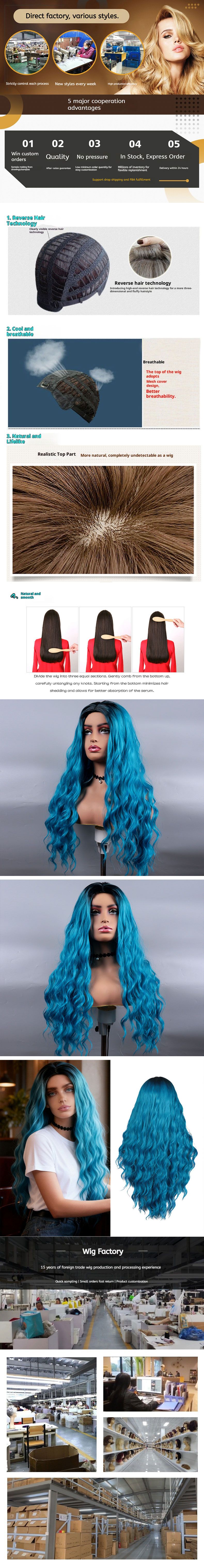 Cross border Women's Long Curly Wig with Cornrow Waves and detail view 2