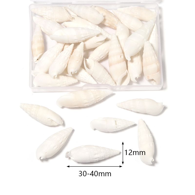 1 Box Sea Shells Tiny Spiral Ocean Seashells For... From Dh4402004, &Price; | DHgate.Com 3 1 Box Sea Shells Tiny Spiral Ocean Seashells For... From Dh4402004, &Price; | DHgate.Com - Image 3