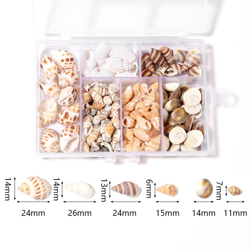 1 Box Sea Shells Tiny Spiral Ocean Seashells For... From Dh4402004, &Price; | DHgate.Com 2 1 Box Sea Shells Tiny Spiral Ocean Seashells For... From Dh4402004, &Price; | DHgate.Com - Image 2